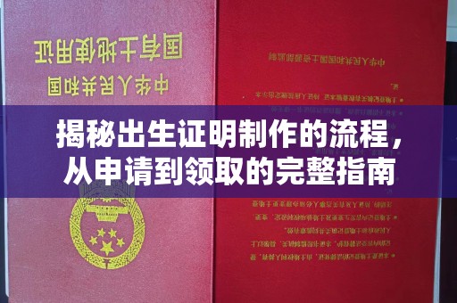 左云揭秘出生证明制作的流程，从申请到领取的完整指南