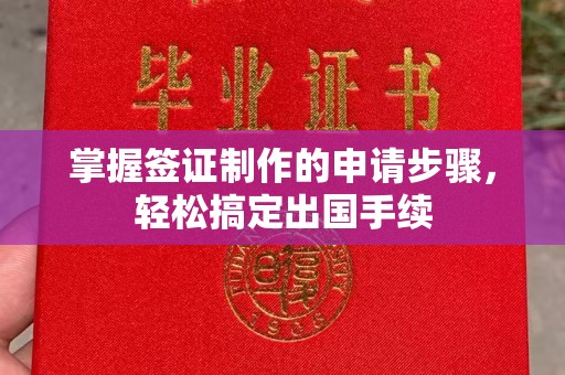 左云掌握签证制作的申请步骤，轻松搞定出国手续