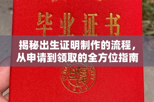 左云揭秘出生证明制作的流程，从申请到领取的全方位指南