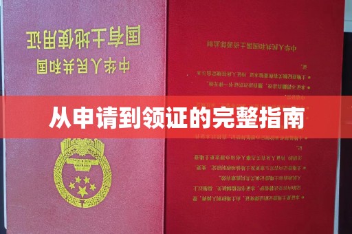 左云从申请到领证的完整指南