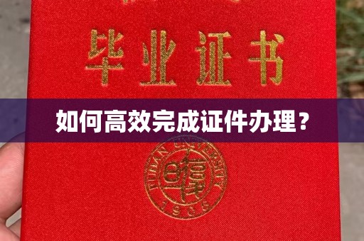 左云如何高效完成证件办理？