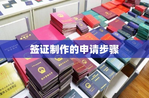 左云签证制作的申请步骤