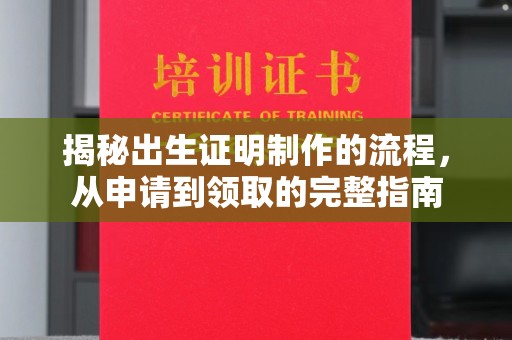 左云揭秘出生证明制作的流程，从申请到领取的完整指南