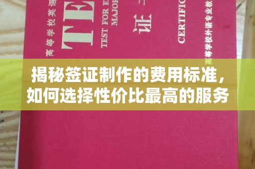 左云揭秘签证制作的费用标准，如何选择性价比最高的服务？