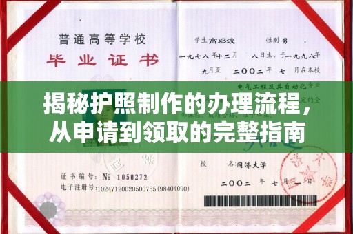 左云揭秘护照制作的办理流程，从申请到领取的完整指南