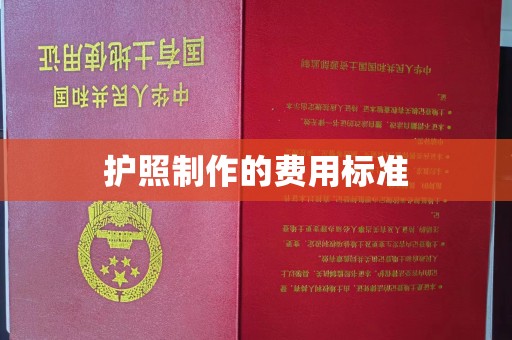 左云护照制作的费用标准