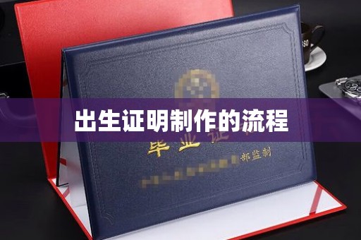 左云出生证明制作的流程