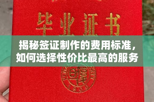 左云揭秘签证制作的费用标准，如何选择性价比最高的服务？